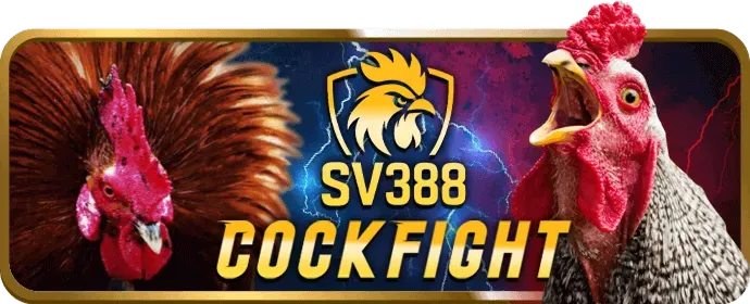 Hoàn trả MCW67 Win